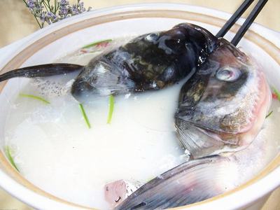 砂锅鱼头培训